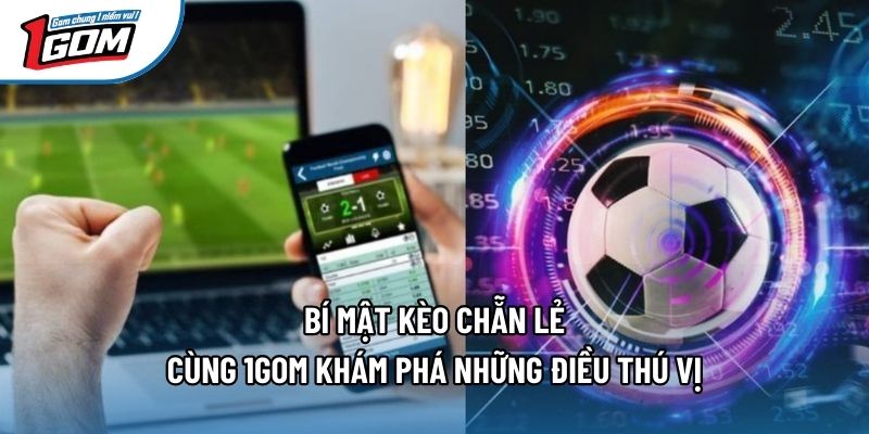 Bí Mật Kèo Chẵn Lẻ - Cùng 1gom Khám Phá Những Điều Thú Vị