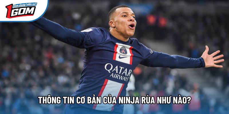 Thông tin cơ bản của ninja rùa như nào?