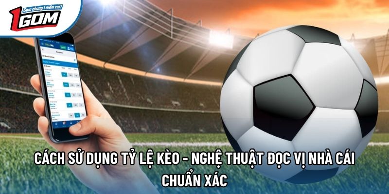 Cách Sử Dụng Tỷ Lệ Kèo - Nghệ Thuật Đọc Vị Nhà Cái Chuẩn Xác