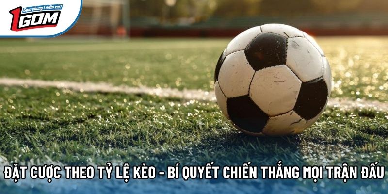 Đặt Cược Theo Tỷ Lệ Kèo - Bí Quyết Chiến Thắng Mọi Trận Đấu