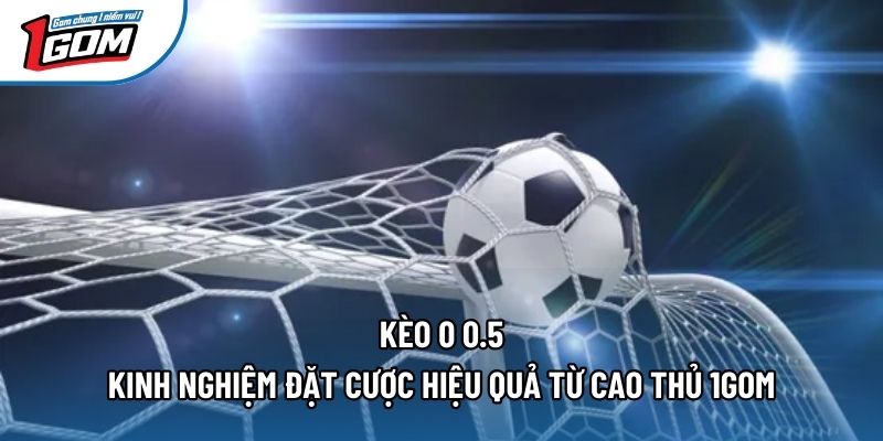 Kèo 0 0.5 - Kinh Nghiệm Đặt Cược Hiệu Quả Từ Cao Thủ 1gom